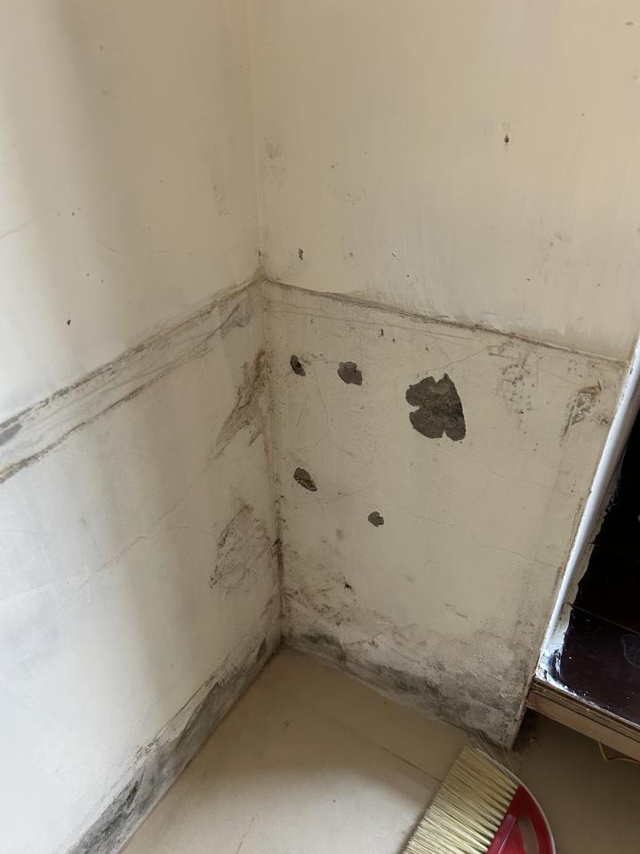 油漆工程案件圖片