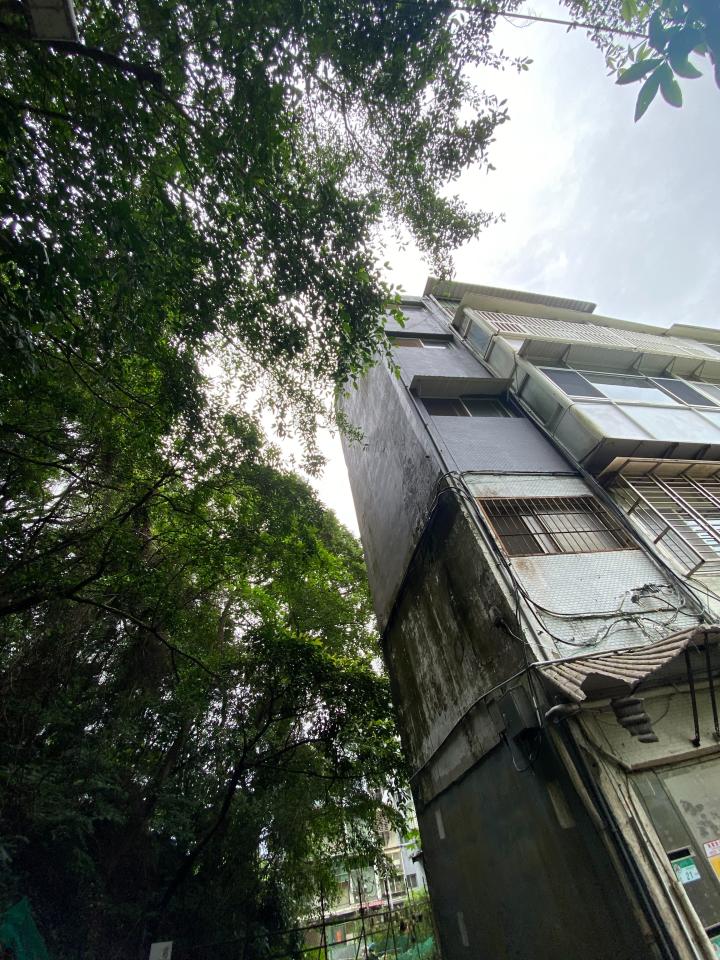 園藝維護案件圖片