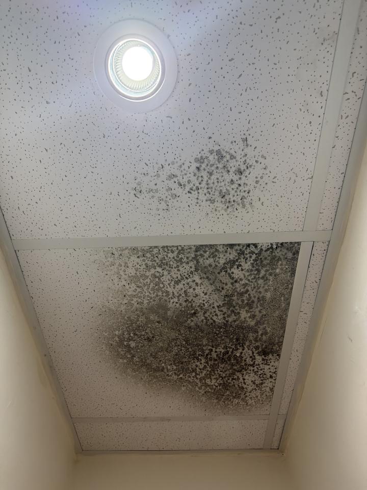 漏水處理案件圖片