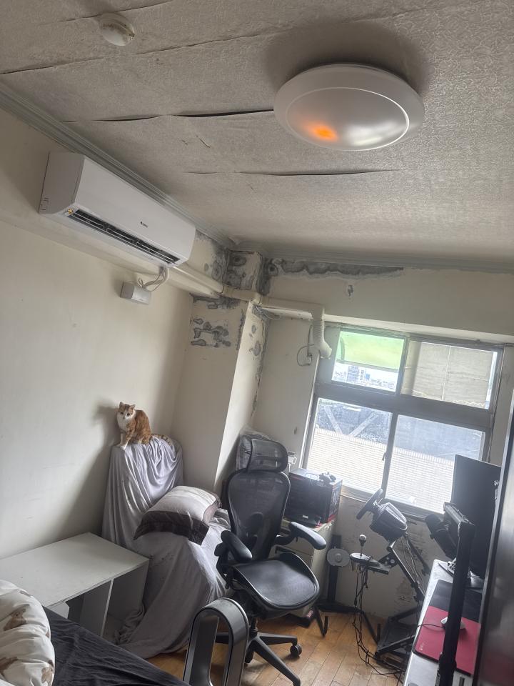 壁癌處理案件圖片