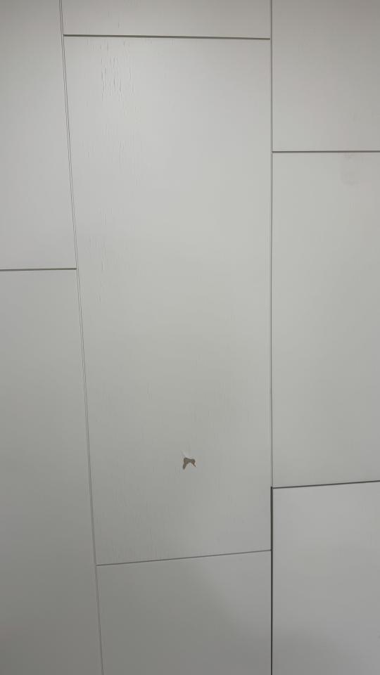 油漆工程案件圖片