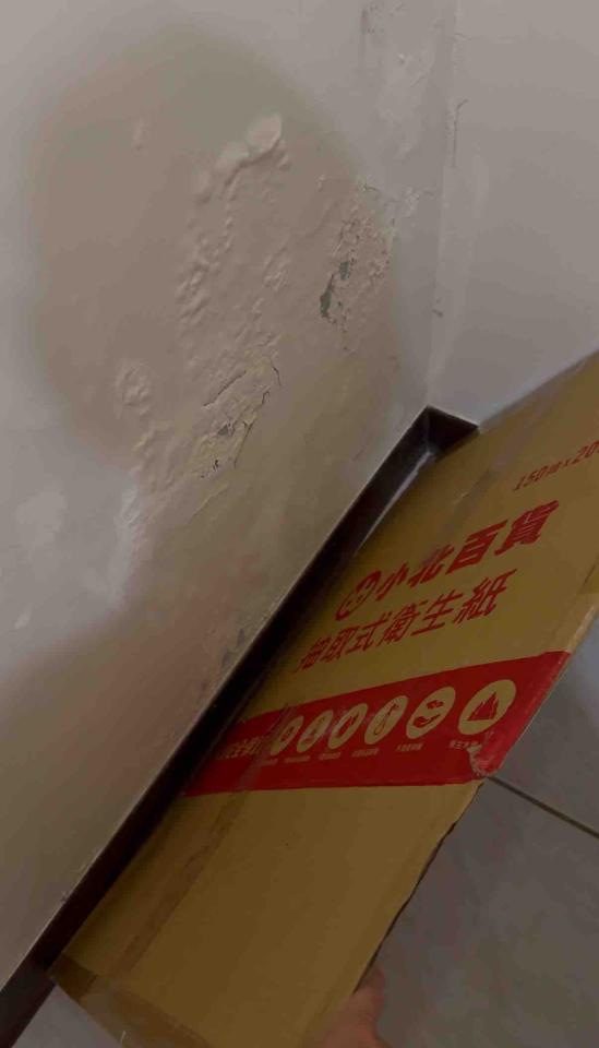 壁癌處理案件圖片