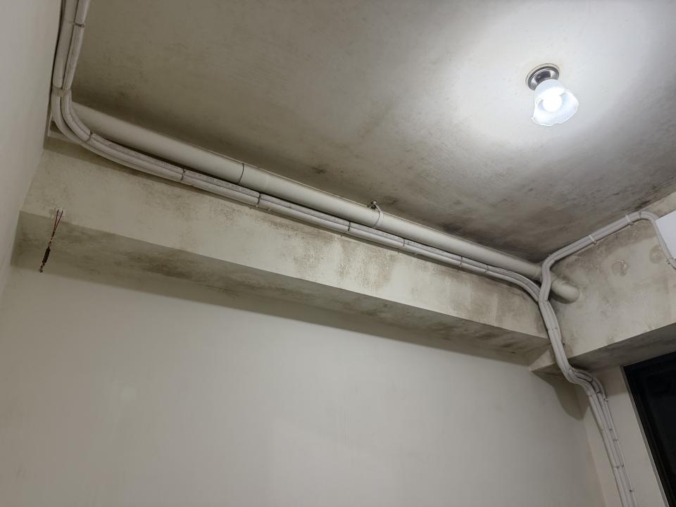 除霉案件圖片