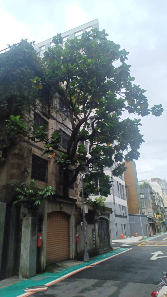 園藝維護案件圖片