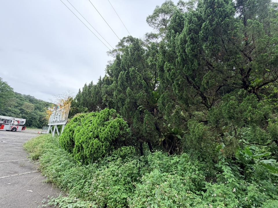 園藝維護案件圖片