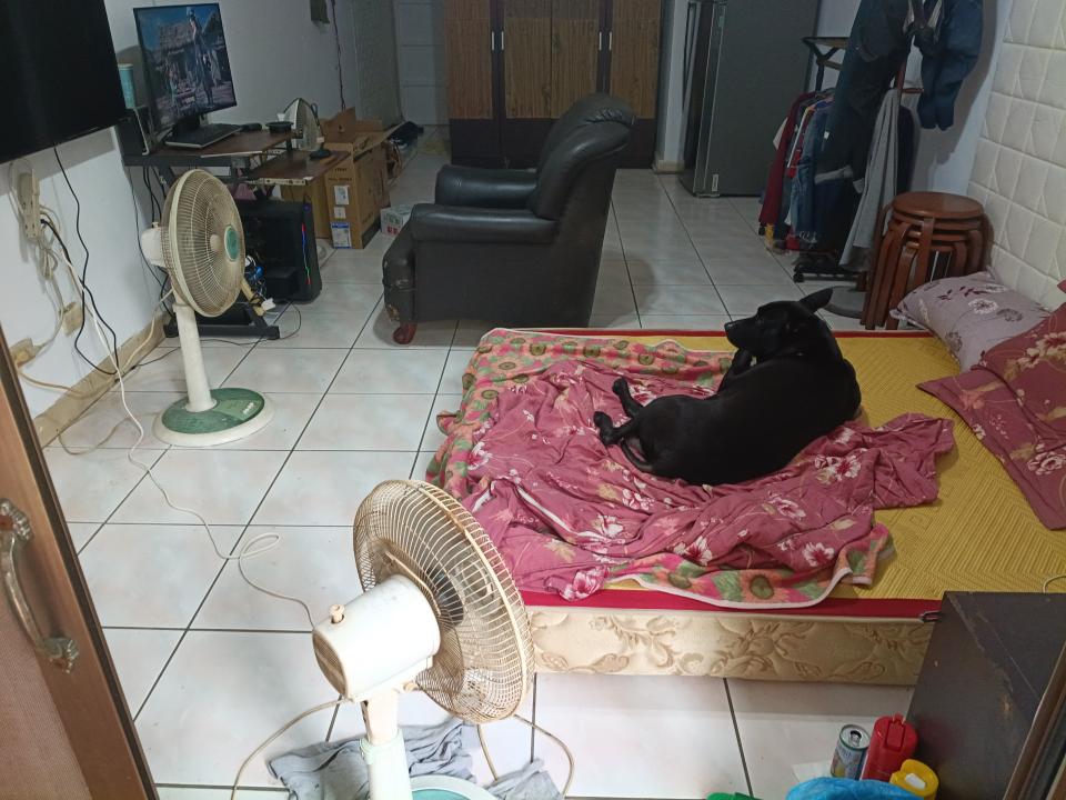 地毯訂製案件圖片