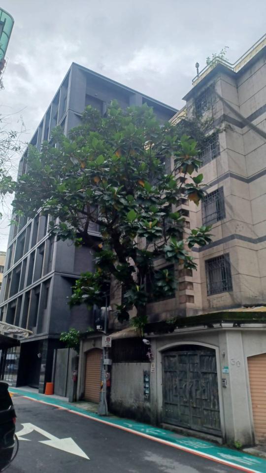 園藝維護案件圖片