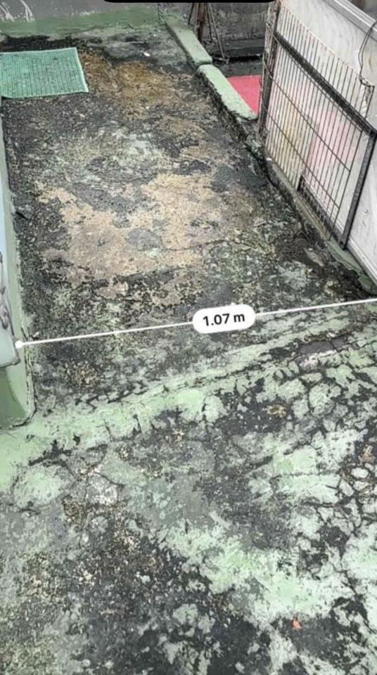 鐵皮屋頂案件圖片
