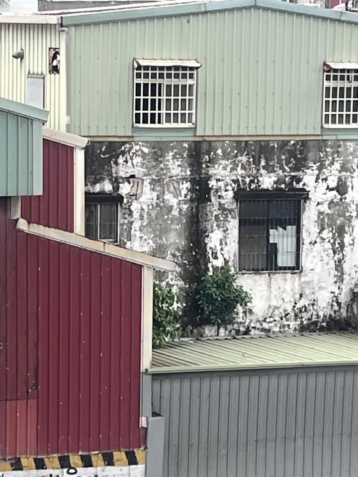 園藝維護案件圖片