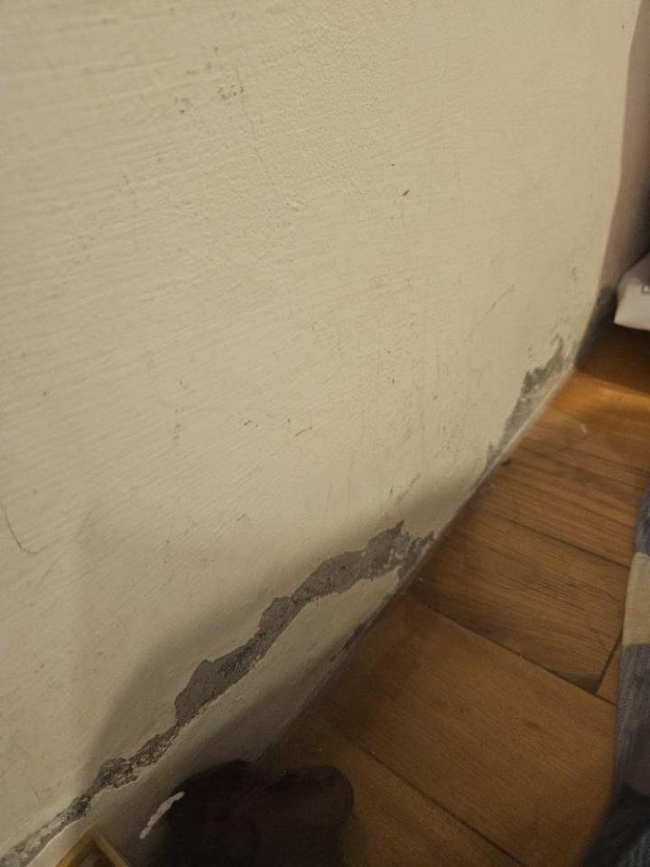 油漆工程案件圖片