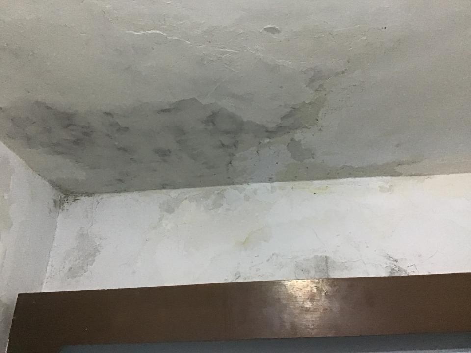 抓漏案件圖片