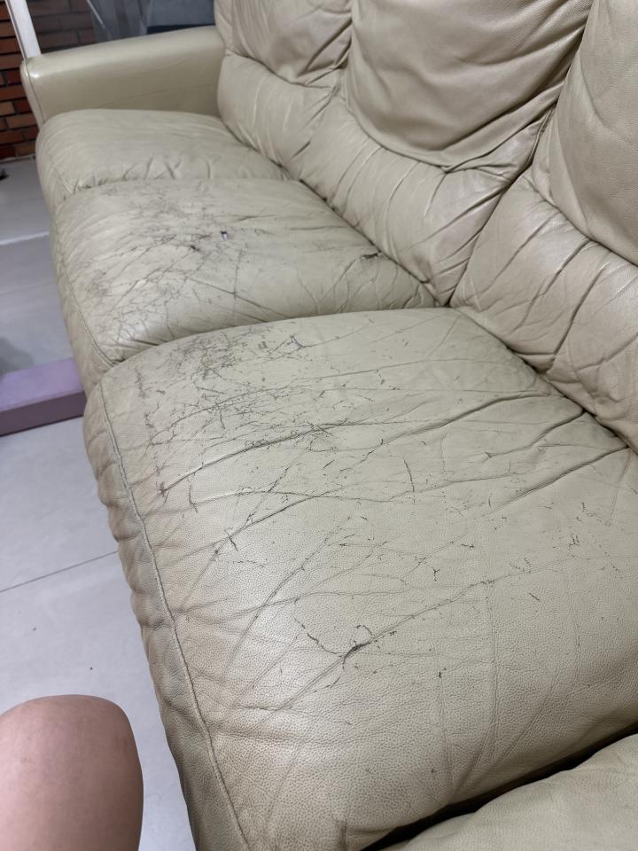 沙發修理案件圖片