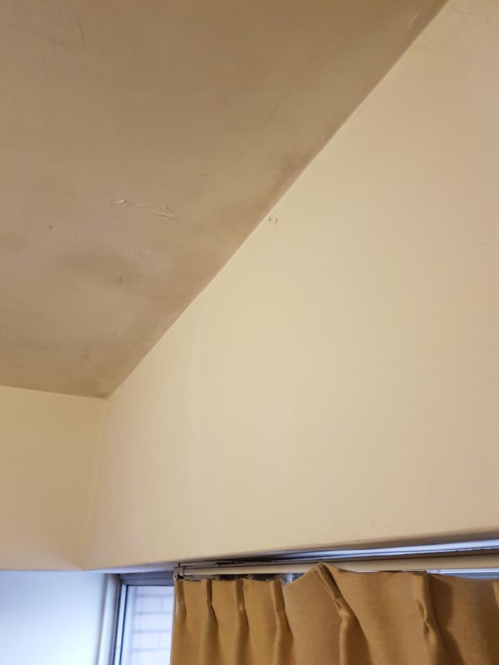 抓漏案件圖片