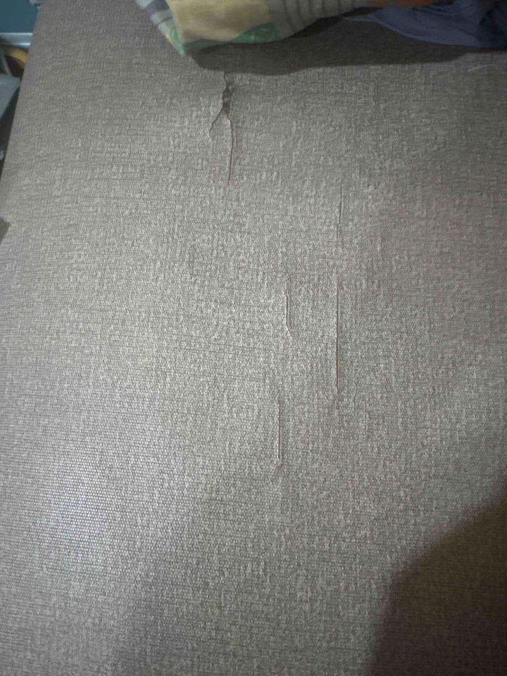 沙發修理案件圖片