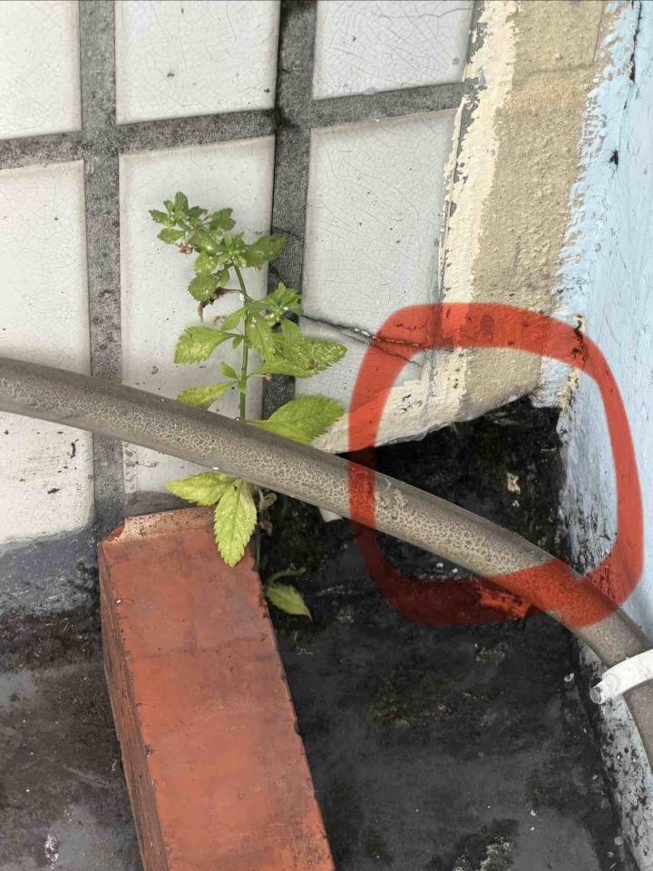 抓漏案件圖片