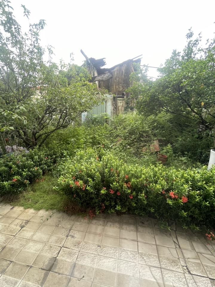 園藝維護案件圖片