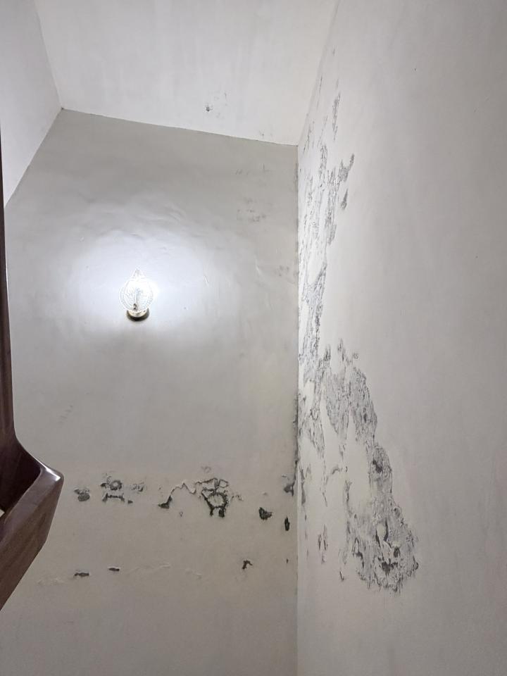 壁癌處理案件圖片
