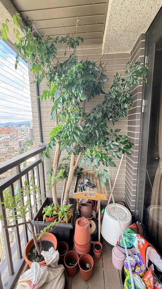 花園自動灑水系統案件圖片