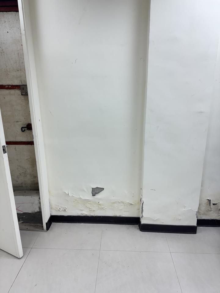 壁癌處理案件圖片