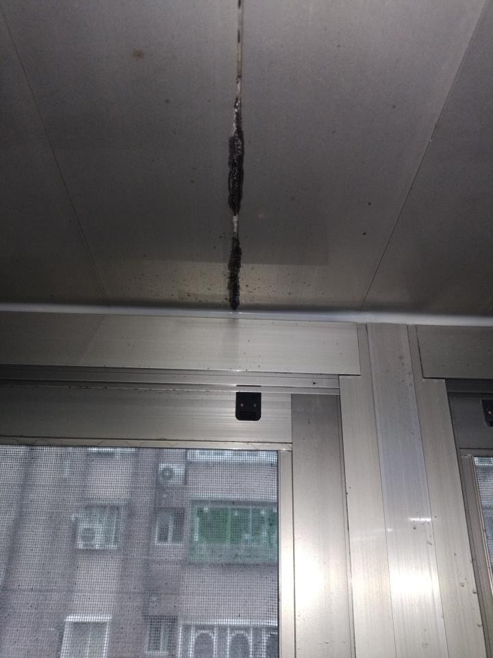 漏水處理案件圖片