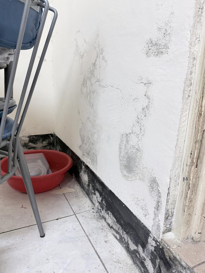 壁癌處理案件圖片