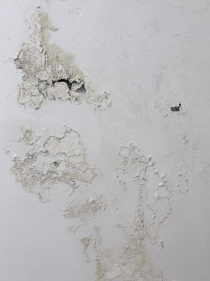 壁癌處理案件圖片