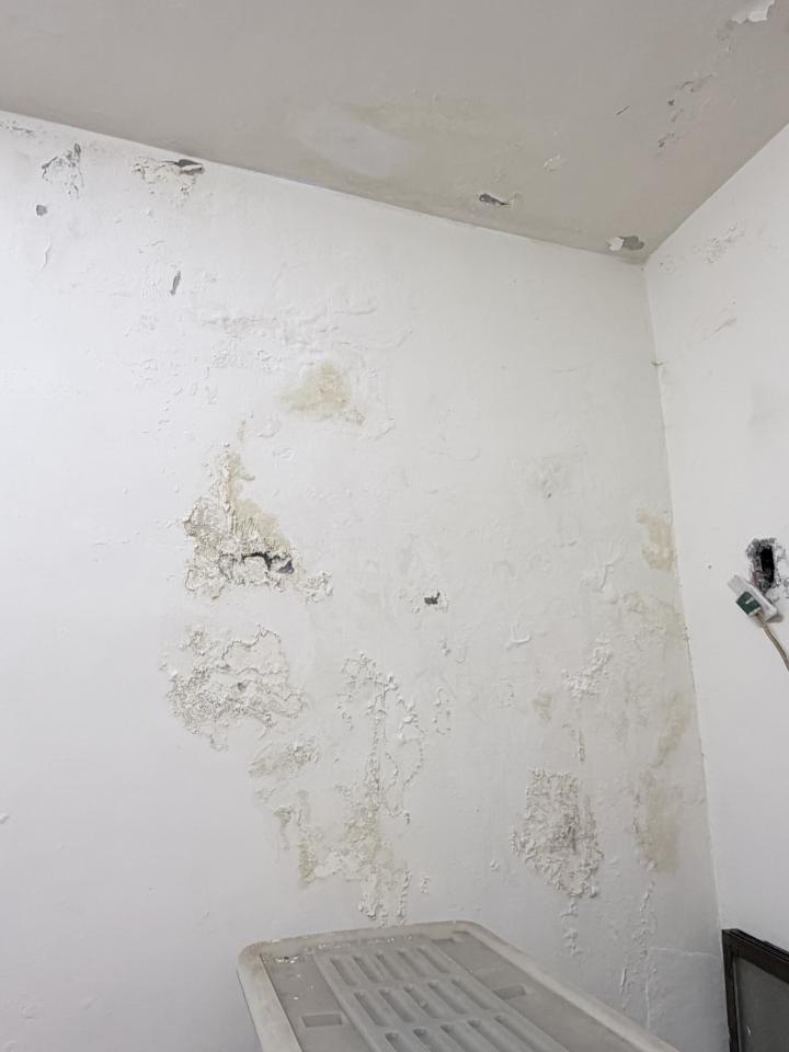 壁癌處理案件圖片