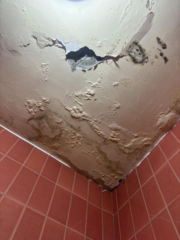 鋼筋外露處理案件圖片