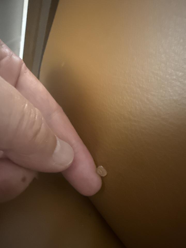 沙發修理案件圖片