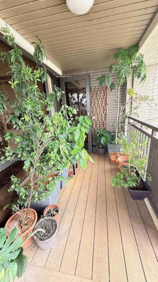 花園自動灑水系統案件圖片