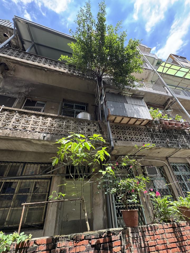 園藝維護案件圖片