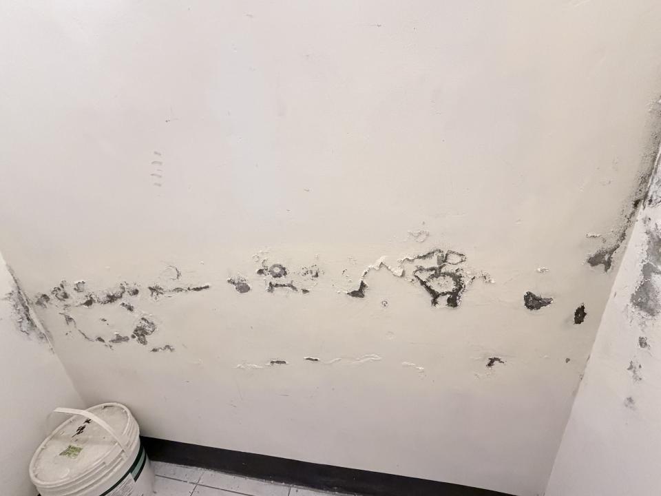 壁癌處理案件圖片