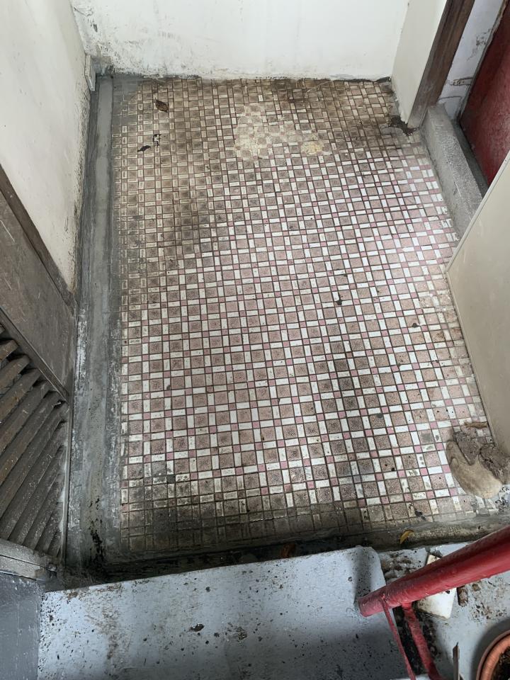 泥作/水泥施工案件圖片