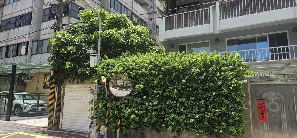 園藝維護案件圖片