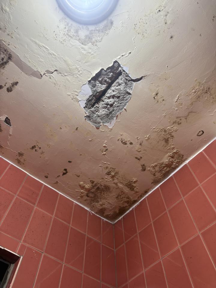 鋼筋外露處理案件圖片