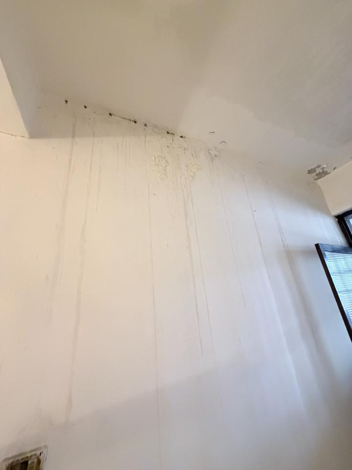壁癌處理案件圖片