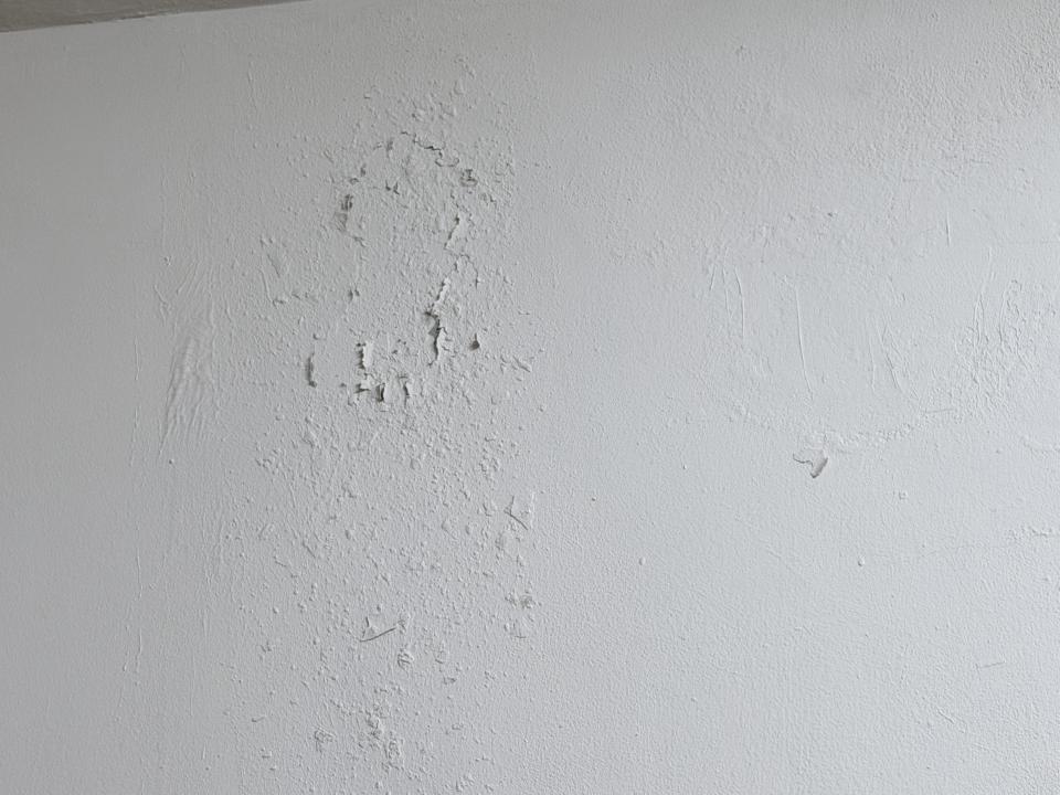 壁癌處理案件圖片