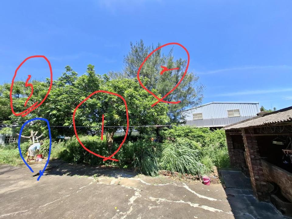園藝維護案件圖片