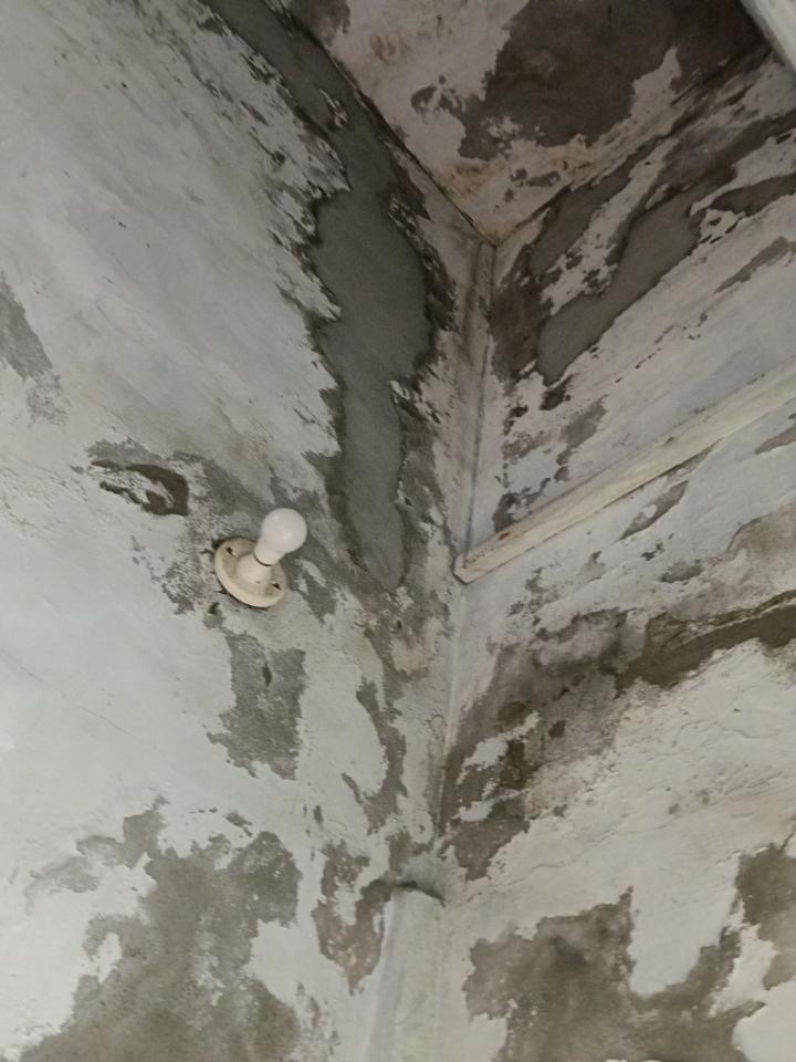 壁癌處理案件圖片