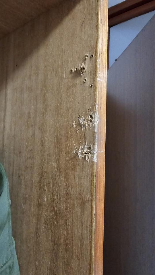木工施工案件圖片