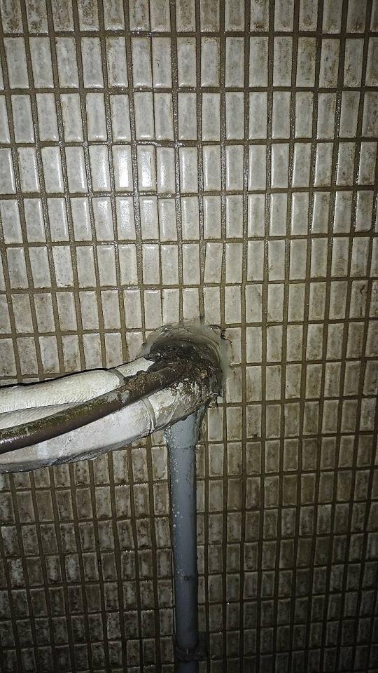 遮雨棚安裝案件圖片