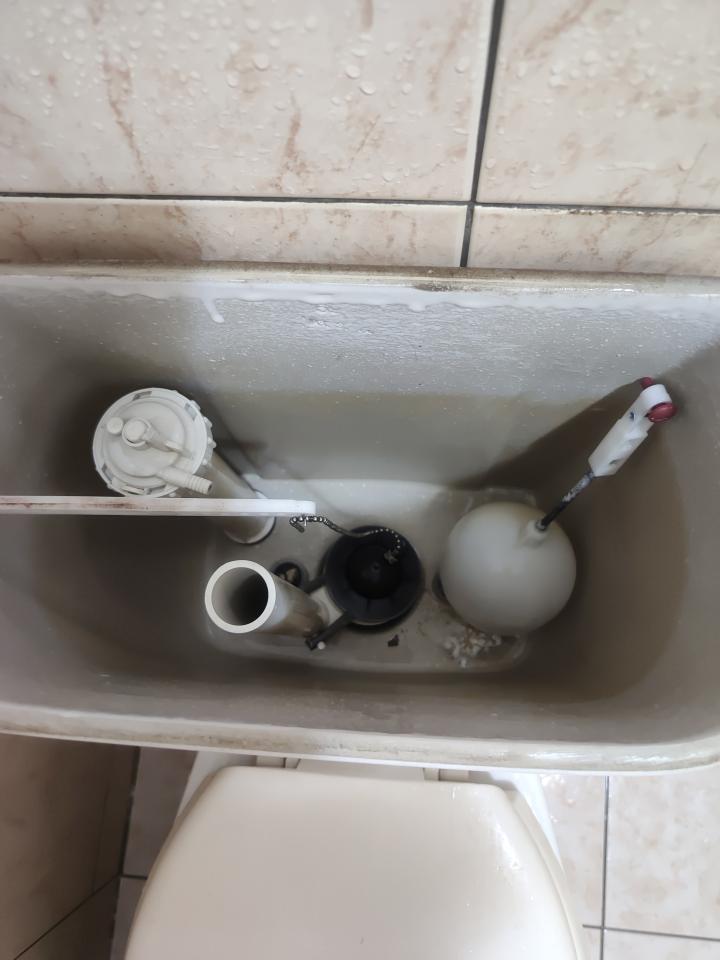 馬桶裝修案件圖片