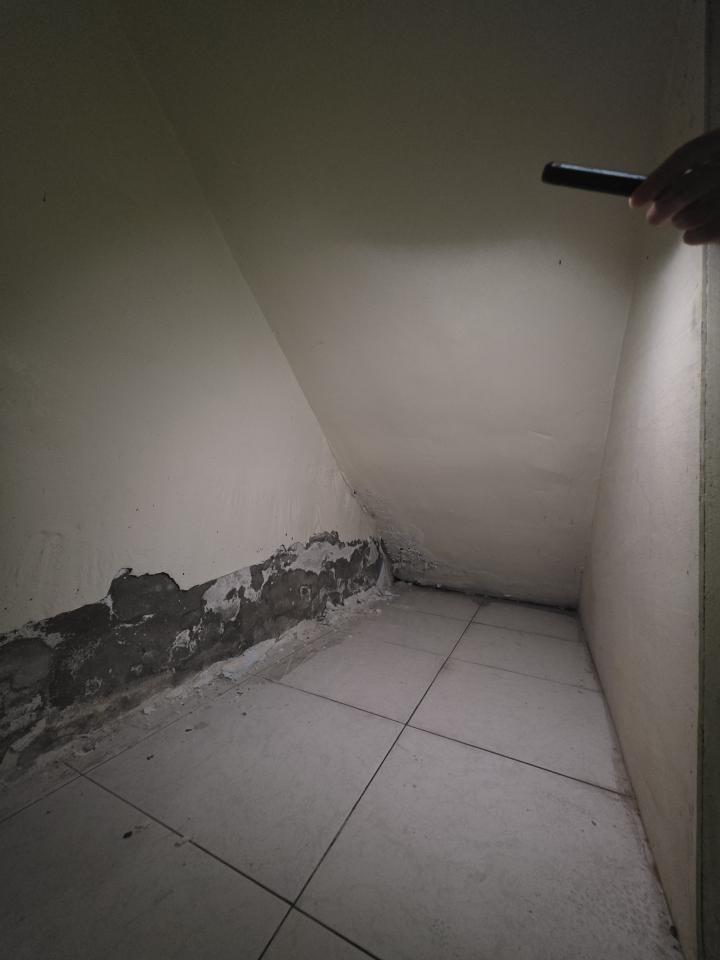 壁癌處理案件圖片