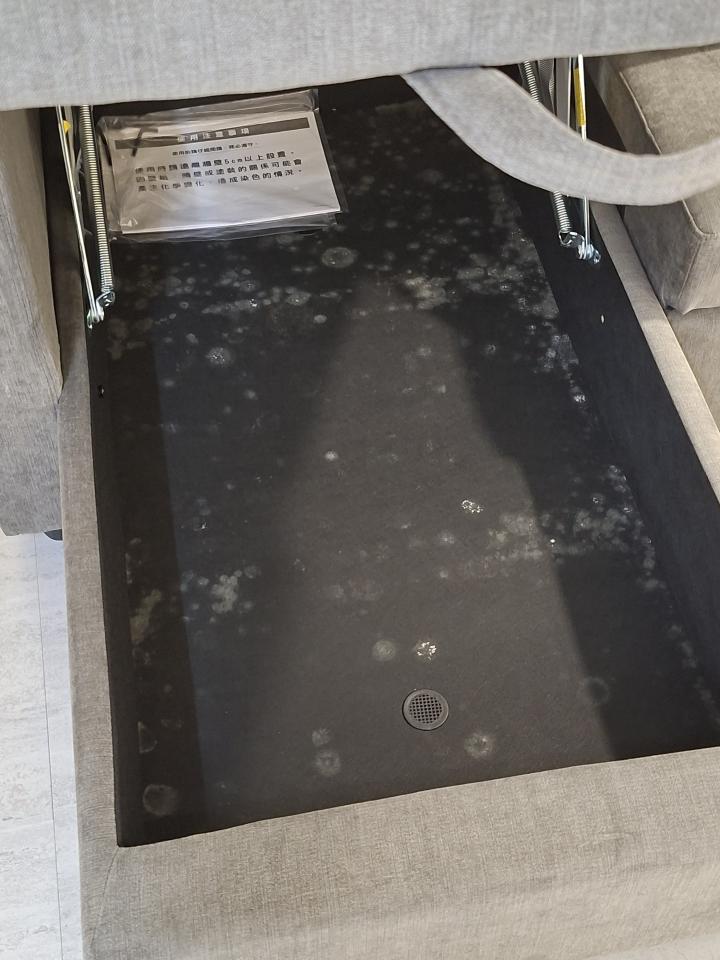 沙發清潔案件圖片