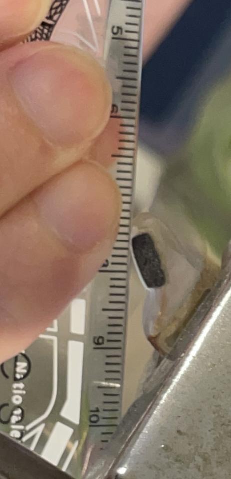 淋浴拉門安裝維修案件圖片