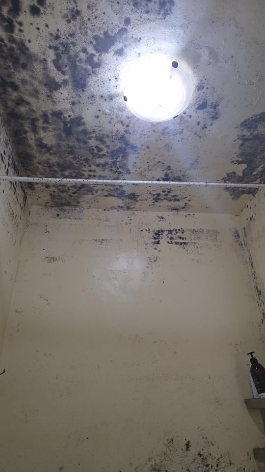 油漆工程案件圖片