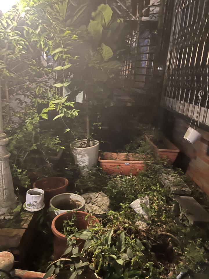 泥作/水泥施工案件圖片