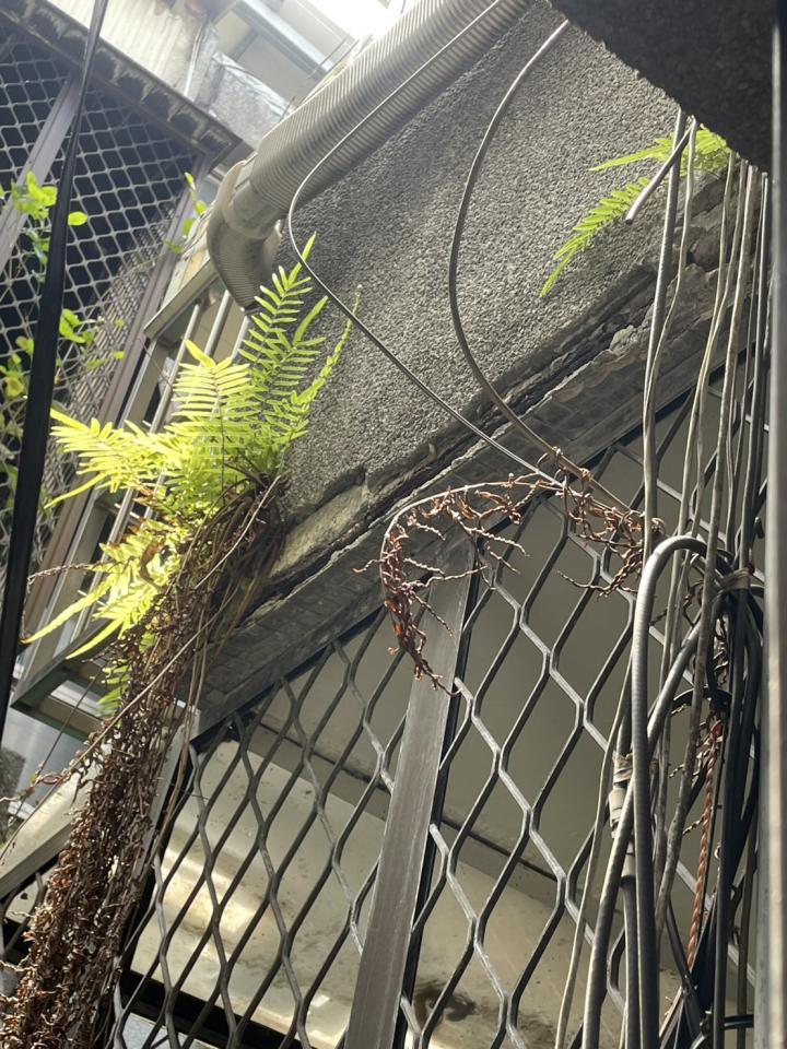 鋼筋外露處理案件圖片