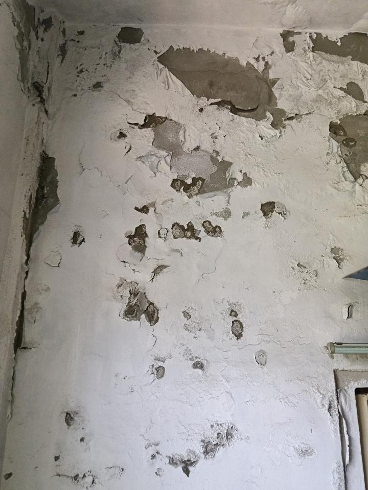 壁癌處理案件圖片