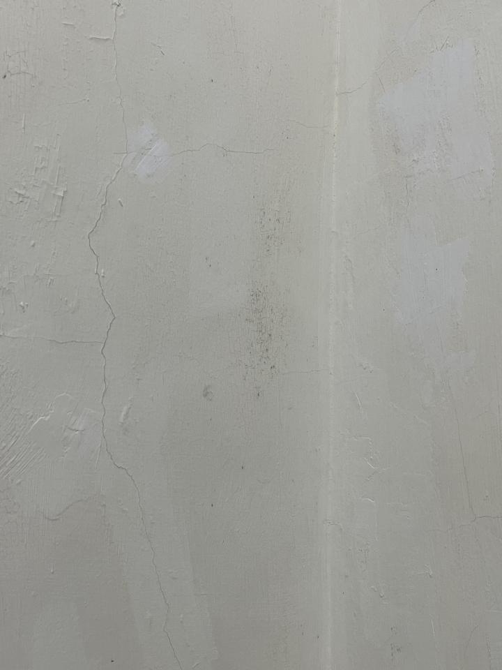 油漆工程案件圖片